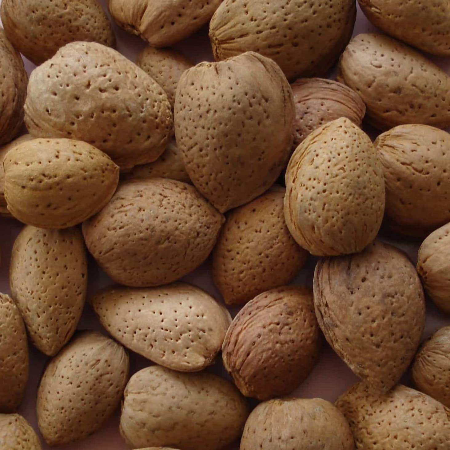 Almendras Garrigues