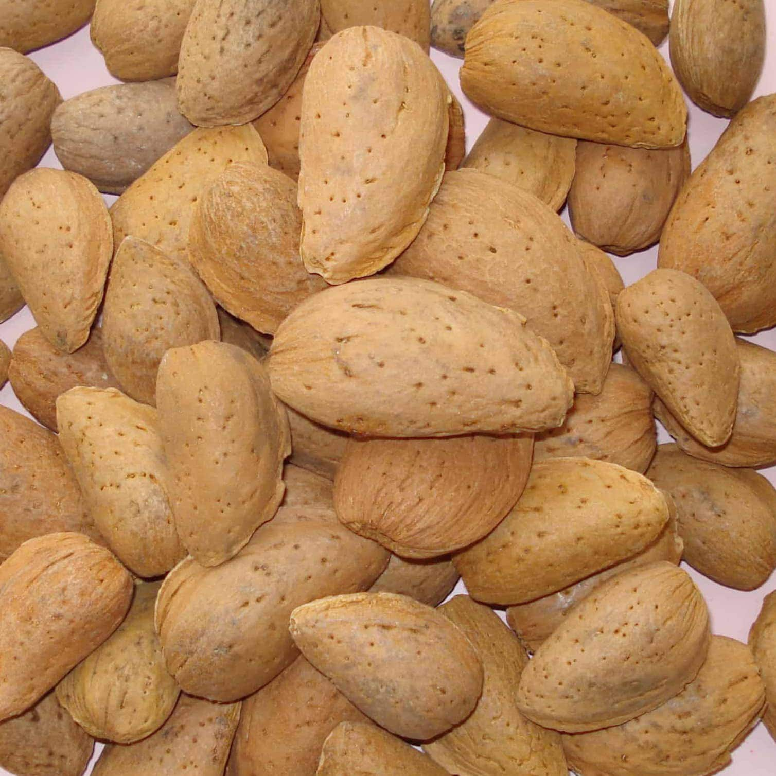 Almendras Largueta